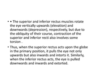 • • The superior and inferior rectus muscles rotate
the eye vertically upwards (elevation) and
downwards (depression), respectively, but due to
the obliquity of their course, contraction of the
superior and inferior recti also involves some
torsion .
• Thus, when the superior rectus acts upon the globe
in the primary position, it pulls the eye not only
upwards but also inwards and intorts it. Similarly,
when the inferior rectus acts, the eye is pulled
downwards and inwards and extorted.
 