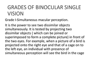 GRADES OF BINOCULAR SINGLE
VISION
Grade I-Simultaneous macular perception.
It is the power to see two dissimilar objects
simultaneously. It is tested by projecting two
dissimilar objects ( which can be joined or
superimposed to form a complete picture) in front of
the two eyes. For example, when a picture of a bird is
projected onto the right eye and that of a cage on to
the left eye, an individual with presence of
simultaneous perception will see the bird in the cage
 