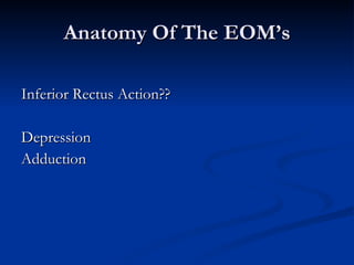 Anatomy Of The EOM’s Inferior Rectus Action?? Depression Adduction 