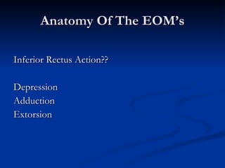 Anatomy Of The EOM’s Inferior Rectus Action?? Depression Adduction Extorsion 