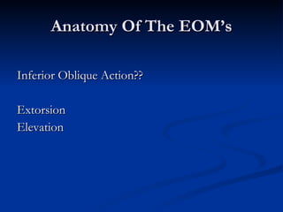 Anatomy Of The EOM’s Inferior Oblique Action?? Extorsion Elevation 