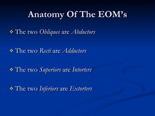 Anatomy Of The EOM’s The two  Obliques  are  Abductors The two  Recti  are  Adductors The two  Superiors  are  Intorters The two  Inferiors  are  Extorters 