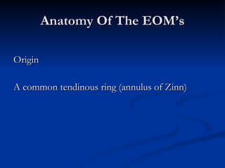 Anatomy Of The EOM’s Origin A common tendinous ring (annulus of Zinn) 