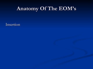 Anatomy Of The EOM’s Insertion 