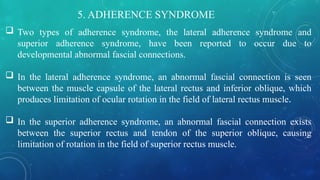5. ADHERENCE SYNDROME
 Two types of adherence syndrome, the lateral adherence syndrome and
superior adherence syndrome, have been reported to occur due to
developmental abnormal fascial connections.
 In the lateral adherence syndrome, an abnormal fascial connection is seen
between the muscle capsule of the lateral rectus and inferior oblique, which
produces limitation of ocular rotation in the field of lateral rectus muscle.
 In the superior adherence syndrome, an abnormal fascial connection exists
between the superior rectus and tendon of the superior oblique, causing
limitation of rotation in the field of superior rectus muscle.
 