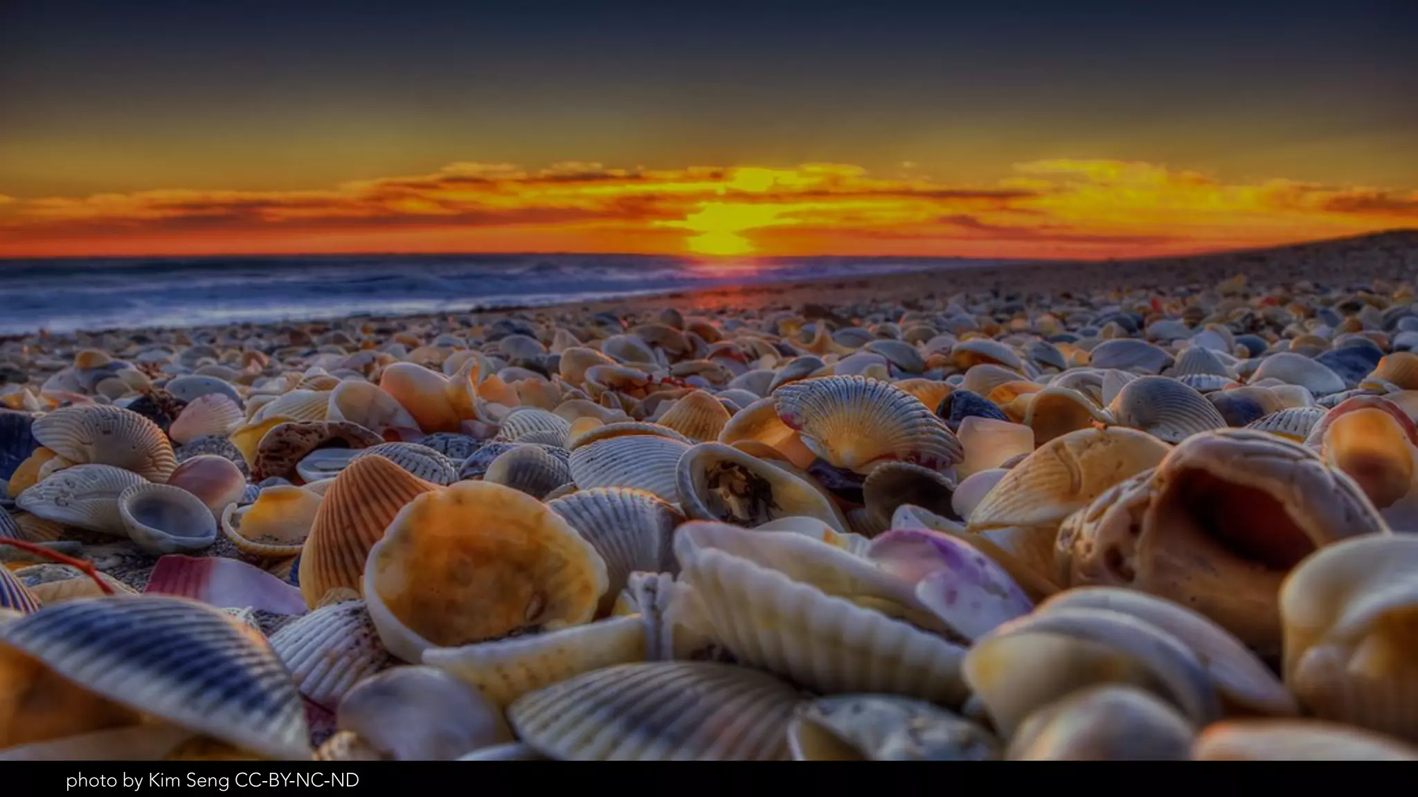 photo by Kodomut CC-BY
“Those who don’t
jump will never fly.”
-Leena Ahmad Almashat
Slide by Michelle Pacansky-Brock
 