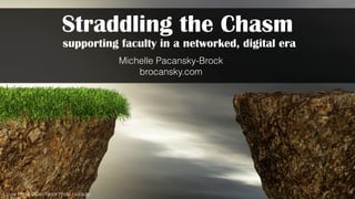 Cover Photo ©Can Stock Photo / lucadp
Straddling the Chasm
supporting faculty in a networked, digital era
Michelle Pacansky-Brock
brocansky.com
 