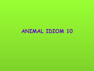 ANIMAL IDIOM 10 