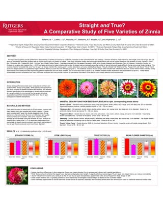 Straight and True?
                                                                               A Comparative Study of Five Varieties of Zinnia
                                                                            Polanin, N.*1, Carleo J. S.2, Nitzsche, P.3, Perdomo, P.4, Wulster, G.5, and Wyenandt, C. A.6

    1,2,3Agricultural             Agents, Rutgers New Jersey Agricultural Experiment Station Cooperative Extension, *1Somerset County, 2Cape May County, and 3Morris County; Martin Hall, 88 Lipman Drive, New Brunswick, NJ 08901.
                          4Director  of Research & Regulatory Affairs, Cleary Chemical Corporation, 178 Ridge Road, Suite A, Dayton, NJ 08810. 5,6Extension Specialists, Rutgers New Jersey Agricultural Experiment Station,
                                                         5Floriculture, 6Vegetable Pathology; Department of Plant Biology and Pathology, Foran Hall, 59 Dudley Road, New Brunswick, NJ 08901.




ABSTRACT

  All major seed suppliers provide performance descriptions of varieties and series for cut flower production in their advertisements and catalogs. Disease resistance, heat tolerance, stem length, and ‘true-to-type’ are just
some of the detailed attributes growers seek to provide high quality cut flowers to market. This study compared variety descriptions and expectations with actual harvest data from five varieties of zinnia (‘Benary’s Giant’
Mix, ‘Oklahoma’ Mix, ‘Peppermint Stick’, ‘Whirligig’ and ‘Zowie! Yellow Flame’). Data was collected from mid-season harvests in 2006 at the Snyder Research and Extension Farm in Pittstown, Hunterdon County, NJ.
Analysis of variance and t-tests at the α = 0.05 level were performed on data including the number of straight stems produced versus the number of stems that would cause difficulty during commercial floral arranging. The
number of stems harvested that were “true-to-type”, or closely matched the seed supplier’s variety description were also statistically analyzed. Results indicate that ‘Oklahoma’ Mix, ‘Peppermint’ and ‘Zowie! Yellow Flame’
produced straight stems at a significantly higher rate than ‘Benary’s Giant’ Mix and ‘Whirligig’ (Figure 1). The statistical analysis of ‘true-to-type’ data revealed that ‘Oklahoma’ Mix and ‘Zowie! Yellow Flame’ matched variety
descriptions more closely and were significantly different statistically from the other varieties, but not from each other (Figure 3). All varieties exhibited flower dimensions near expectations (Figure 4). These results
substantiate common complaints from many cut-flower producers and may provide a source of quantitative information to be used in future variety selection and improvement.




INTRODUCTION

Zinnia variety performance trials were conducted in northern and
southern New Jersey during 2006. While subsequent reports from
this study focused on disease incidence and severity, this research
focused specifically on the percentage of straight stems produced
at a length suitable for commercial floral arranging (producer
expectations) and floral characteristics that were ‘true to type’
(seed source varietal descriptions).


                                                                                                                 VARIETAL DESCRIPTIONS FROM SEED SUPPLIERS (left to right, corresponding photos above)
                                                                                                                 ‘Benary’s Giant’ - Standard many growers are using; long strong stems; white, yellow, red, orange, pink, and deep pink; 6.5 cm diameter.
MATERIALS AND METHODS                                                                                            Vigorous all-season producer, densely petaled blooms on 100 - 125 cm. stems.

Field plots consisted of raised beds on 5 foot centers, covered with                                             ‘Oklahoma Mix’ - Old standard, double & semi-double; white, yellow, red, orange, pink, and deep pink; 4 cm diameter. Noted for its
black plastic mulch and supplied with trickle irrigation. Zinnias                                                uniformity, clarity of color and sturdy 75 – 100 cm. stems.
were transplanted 9” apart into double staggered rows. Zinnia                                                    ‘Peppermint Stick’ – Double blooms; bicolor and some solid colors - red, cream, yellow, orange, and pink; 5 cm diameter. Fascinating
stems were harvested when flowers were fully open and quality                                                    broken colored flowers - no flower is the same. Grows to 60 – 90 cm. tall.
measurements were recorded. Data were analyzed on the
average of four harvests during the summer of 2006. Analysis of                                                  ‘Whirligig’ - Double blooms; bicolor: yellow-crimson, red-white, pink-white, cream-rose, and bronze-red; 5 cm diameter. The double flowers
variance and t-tests at the α = 0.05 level were performed on the                                                 display an attractive contrasting color at the tip of each petal. Grows to 60 cm. tall.
percentage of straight stems produced, stem length, percentage of
                                                                                                                 ‘Zowie! Yellow Flame’ - Double blooms, 2006 All-American Selections Winner; bicolor - magenta center with petals orange tipped; 5 cm
true to type flowers produced, and mean flower diameter.
                                                                                                                 diameter. Grows to 75 – 90 cm. tall.



RESULTS (a, b, c, d statistically significant at the α = 0.05 level)

                          STRAIGHT STEMS (%)                                                          STEM LENGTH (cm)                                                     TRUE TO TYPE (%)                                     MEAN FLOWER DIAMETER (cm)
100.00                                                                           30.00                                                               100.00
                                                                                                                                                                                                                  a     7.00
                                                                                                                                                                              a                                                   a
 90.00                                                                                      a                                                         90.00
                                                                                                                                                                b
                              a             a                       a                                                                                                                       b                           6.00
                                                                                 25.00
                                                                                                                                   b                  80.00
                                                                                                                                                                                                        b                                                               b         b
 80.00
                                                        b                                                              b
               c                                                                                         c                                                                                                              5.00                                 c
 70.00
                                                                                 20.00
                                                                                                                                            c         70.00

 60.00                                                                                                                                                60.00                                                                                    d
                                                                                                                                                                                                                        4.00
 50.00                                                                           15.00                                                                50.00
                                                                                                                                                                                                                        3.00
 40.00                                                                                                                                                40.00
                                                                                 10.00
 30.00                                                                                                                                                30.00                                                             2.00

 20.00                                                                                                                                                20.00
                                                                                  5.00
                                                                                                                                                                                                                        1.00
 10.00                                                                                                                                                10.00

  0.00                                                                            0.00                                                                 0.00                                                             0.00


         Benary’s Giant    Oklahoma    Peppermint   Whirligig     Zowie              Benary’s Giant   Oklahoma    Peppermint   Whirligig   Zowie          Benary’s Giant   Oklahoma    Peppermint   Whirligig   Zowie      Benary’s Giant   Oklahoma   Peppermint   Whirligig   Zowie
                                      Figure 1                                                                   Figure 2                                                             Figure 3                                                         Figure 4




                                                       CONCLUSIONS

                                                       •    Despite significant differences in other categories, flower size (mean diameter) for all varieties was in accord with varietal descriptions
                                                       •    While ‘Benary’s Giant’ exhibited the largest flower diameter and greatest stem length, it’s significantly lower percentage of ‘true to type’ and straight stems can reduce marketability
                                                       •    ‘Zowie! Yellow Flame’ was the only variety to be free of non “true-to-type” characteristics, as exhibited in the zinnia ‘Peppermint Stick’ (image on left)
                                                       •    Under certain weather and / or growing conditions, zinnia stems may not elongate or be as straight as desired for the cut flower market
                                                       •    Direct marketing opportunities for shorter stemmed zinnias should be explored, especially where flowers (where stems are removed) are used for traditional seasonal holiday crafts
 