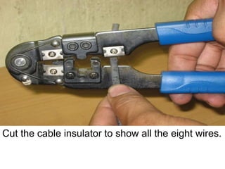 Cut the cable insulator to show all the eight wires.
 