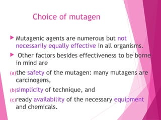 Choice of mutagen
 Mutagenic agents are numerous but not
necessarily equally effective in all organisms.
 Other factors besides effectiveness to be borne
in mind are
(a)the safety of the mutagen: many mutagens are
carcinogens,
(b)simplicity of technique, and
(c)ready availability of the necessary equipment
and chemicals.
 