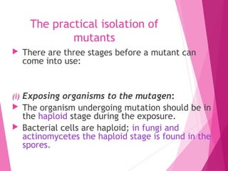 The practical isolation of
mutants
 There are three stages before a mutant can
come into use:
(i) Exposing organisms to the mutagen:
 The organism undergoing mutation should be in
the haploid stage during the exposure.
 Bacterial cells are haploid; in fungi and
actinomycetes the haploid stage is found in the
spores.
 