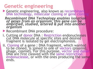 Genetic engineering
 Genetic engineering, also known as recombinant
DNA technology, molecular cloning or gene cloning
Recombinant DNA Technology enables isolation
of genes from an organism, this gene can be
amplified, studied, altered & put into another
organism  
 Recombinant DNA procedure:
i. Cutting of donor DNA : Restriction endonucleases
cut DNA molecule at specific sites and desired
fragment is isolated by gel electrophoresis.  
ii. Cloning of a gene : DNA fragment, which wanted
to be cloned, is joined to one of vectors (plasmid,
phage, cosmid). For this purpose, vector and donor
DNA are first cleaved with the same restriction
endonuclease, or with the ones producing the same
ends.
 