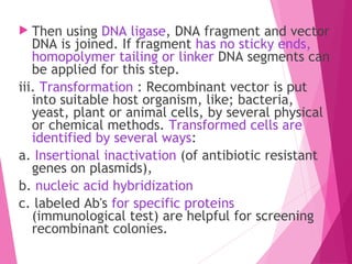  Then using DNA ligase, DNA fragment and vector
DNA is joined. If fragment has no sticky ends,
homopolymer tailing or linker DNA segments can
be applied for this step.
iii. Transformation : Recombinant vector is put
into suitable host organism, like; bacteria,
yeast, plant or animal cells, by several physical
or chemical methods. Transformed cells are
identified by several ways:
a. Insertional inactivation (of antibiotic resistant
genes on plasmids),
b. nucleic acid hybridization
c. labeled Ab's for specific proteins
(immunological test) are helpful for screening
recombinant colonies.
 