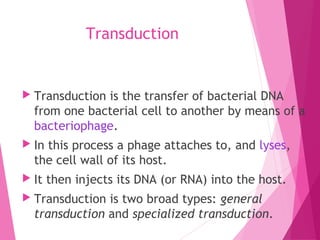 Transduction
 Transduction is the transfer of bacterial DNA
from one bacterial cell to another by means of a
bacteriophage.
 In this process a phage attaches to, and lyses,
the cell wall of its host.
 It then injects its DNA (or RNA) into the host.
 Transduction is two broad types: general
transduction and specialized transduction.
 