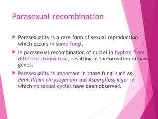 Parasexual recombination
 Parasexuality is a rare form of sexual reproduction
which occurs in some fungi.
 In parasexual recombination of nuclei in hyphae from
different strains fuse, resulting in theformation of new
genes.
 Parasexuality is important in those fungi such as
Penicillium chrysogenum and Aspergiluss niger in
which no sexual cycles have been observed.
 