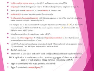  Isolate required enzyme gene, e.g. via mRNA and its conversion into cDNA
 Sequence the DNA of the gene (in order to decide on change required for primer in stage 5).
 Splice gene into M13 vector dsDNA and transduce E. coli host cells
 Isolate ssDNA in phage particles released from host cells
 Synthesize an oligonucleotide primer with the same sequence as part of the gene but with altered
codon (mismatch/mispair) at desired point(s).
For example, one of the codons in DNA coding for the amino acid Alanine is CGG. If the middle
base is changed by SDM from G to C the codon sequence becomes CCG which codes for a
different amino acid (Glycine).
 Mix oligonucleotide with recombinant vector ssDNA.
 Carried out at low temperature (0-10o
C) and in high salt concentration to allow hybridization
between oligonucleotide and part of gene.
 Use DNA polymerase to synthesize remainder of strand. (Oligonucleotide acts as a primer for the
DNA synthesis). Then add ligase to join primer and new strand 
 dsDNA molecule
 Transform E. coli cells and allow them to replicate recombinant vector molecule.
DNA replication is semi-conservative, therefore two types of clone are produced
each of which excretes phage particles containing ssDNA:
 Type 1: contain the wild-type gene (i.e. unaltered)
 Type 2: contain the mutated gene!!!
 
