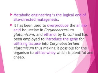  Metabolic engineering is the logical end of
site-directed mutagenesis.
 It has been used to overproduce the amino
acid isoluecine in Corynebacterium
glutamicum, and ethanol by E. coli and has
been employed to introduce the gene for
utilizing lactose into Corynebacterium
glutamicum thus making it possible for the
organism to utilize whey which is plentiful and
cheap.
 
