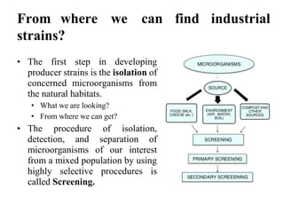 From where we can find industrial
strains?
• The first step in developing
producer strains is the isolation of
concerned microorganisms from
the natural habitats.
• What we are looking?
• From where we can get?
• The procedure of isolation,
detection, and separation of
microorganisms of our interest
from a mixed population by using
highly selective procedures is
called Screening.
 