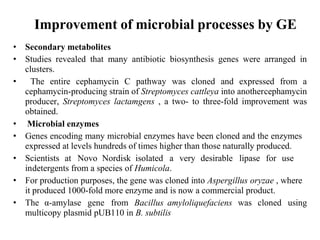 Improvement of microbial processes by GE
• Secondary metabolites
• Studies revealed that many antibiotic biosynthesis genes were arranged in
clusters.
• The entire cephamycin C pathway was cloned and expressed from a
cephamycin-producing strain of Streptomyces cattleya into anothercephamycin
producer, Streptomyces lactamgens , a two- to three-fold improvement was
obtained.
• Microbial enzymes
• Genes encoding many microbial enzymes have been cloned and the enzymes
expressed at levels hundreds of times higher than those naturally produced.
• Scientists at Novo Nordisk isolated a very desirable lipase for use
indetergents from a species of Humicola.
• For production purposes, the gene was cloned into Aspergillus oryzae , where
it produced 1000-fold more enzyme and is now a commercial product.
• The α-amylase gene from Bacillus amyloliquefaciens was cloned using
multicopy plasmid pUB110 in B. subtilis
 