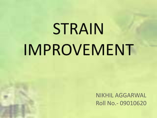 STRAIN
IMPROVEMENT

       NIKHIL AGGARWAL
       Roll No.- 09010620
 