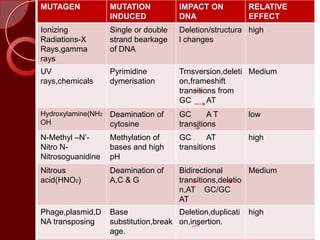 MUTAGEN MUTATION
INDUCED
IMPACT ON
DNA
RELATIVE
EFFECT
Ionizing
Radiations-X
Rays,gamma
rays
Single or double
strand bearkage
of DNA
Deletion/structura
l changes
high
UV
rays,chemicals
Pyrimidine
dymerisation
Trnsversion,deleti
on,frameshift
transitions from
GC AT
Medium
Hydroxylamine(NH2
OH
Deamination of
cytosine
GC A T
transitions
low
N-Methyl –N’-
Nitro N-
Nitrosoguanidine
Methylation of
bases and high
pH
GC AT
transitions
high
Nitrous
acid(HNO2)
Deamination of
A,C & G
Bidirectional
transitions,deletio
n,AT GC/GC
AT
Medium
Phage,plasmid,D
NA transposing
Base
substitution,break
age.
Deletion,duplicati
on,insertion.
high
 