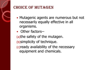Choice of mutagen
 Mutagenic agents are numerous but not
necessarily equally effective in all
organisms.
 Other factors--
(a)the safety of the mutagen.
(b)simplicity of technique.
(c)ready availability of the necessary
equipment and chemicals.
 