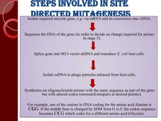 Isolate required enzyme gene, e.g. via mRNA and its conversion into cDNA.
Sequence the DNA of the gene (in order to decide on change required for primer
in stage 5).
Splice gene into M13 vector dsDNA and transduce E. coli host cells.
Isolate ssDNA in phage particles released from host cells.
Synthesize an oligonucleotide primer with the same sequence as part of the gene
but with altered codon (mismatch/mispair) at desired point(s).
For example, one of the codons in DNA coding for the amino acid Alanine is
CGG. If the middle base is changed by SDM from G to C the codon sequence
becomes CCG which codes for a different amino acid (Glycine).
 