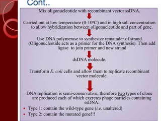 Cont..
Mix oligonucleotide with recombinant vector ssDNA.
Carried out at low temperature (0-10oC) and in high salt concentration
to allow hybridization between oligonucleotide and part of gene.
Use DNA polymerase to synthesize remainder of strand.
(Oligonucleotide acts as a primer for the DNA synthesis). Then add
ligase to join primer and new strand
dsDNA molecule.
Transform E. coli cells and allow them to replicate recombinant
vector molecule.
DNA replication is semi-conservative, therefore two types of clone
are produced each of which excretes phage particles containing
ssDNA:
 Type 1: contain the wild-type gene (i.e. unaltered)
 Type 2: contain the mutated gene!!!
 