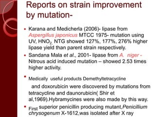 Reports on strain improvement
by mutation-
 Karana and Medicherla (2006)- lipase from
Aspergillus japonicus MTCC 1975- mutation using
UV, HNO2, NTG showed 127%, 177%, 276% higher
lipase yield than parent strain respectively.
 Sandana Mala et al., 2001- lipase from A. niger -
Nitrous acid induced mutation – showed 2.53 times
higher activity.
 Medically useful products Demethyltetracycline
and doxorubicin were discovered by mutations from
tetracycline and daunorubicin( Shir et
al,1969).Hybramycines were also made by this way.
 First superior penicillin producing mutant,Penicillium
chrysogenum X-1612,was isolated after X ray
 