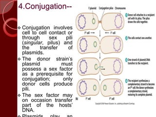 4.Conjugation--
 Conjugation involves
cell to cell contact or
through sex pili
(singular, pilus) and
the transfer of
plasmids.
 The donor strain’s
plasmid must
possess a sex factor
as a prerequisite for
conjugation; only
donor cells produce
pili.
 The sex factor may
on occasion transfer
part of the hosts’
DNA.
 