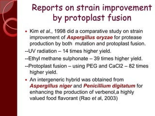 Reports on strain improvement
by protoplast fusion
 Kim et al., 1998 did a comparative study on strain
improvement of Aspergillus oryzae for protease
production by both mutation and protoplast fusion.
--UV radiation – 14 times higher yield.
--Ethyl methane sulphonate – 39 times higher yield.
--Protoplast fusion – using PEG and CaCl2 – 82 times
higher yield.
 An intergeneric hybrid was obtained from
Aspergillus niger and Penicillium digitatum for
enhancing the production of verbenol,a highly
valued food flavorant (Rao et al, 2003)
 