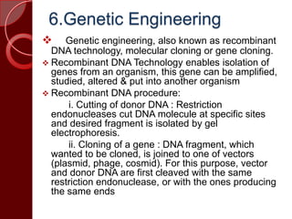 6.Genetic Engineering
 Genetic engineering, also known as recombinant
DNA technology, molecular cloning or gene cloning.
 Recombinant DNA Technology enables isolation of
genes from an organism, this gene can be amplified,
studied, altered & put into another organism
 Recombinant DNA procedure:
i. Cutting of donor DNA : Restriction
endonucleases cut DNA molecule at specific sites
and desired fragment is isolated by gel
electrophoresis.
ii. Cloning of a gene : DNA fragment, which
wanted to be cloned, is joined to one of vectors
(plasmid, phage, cosmid). For this purpose, vector
and donor DNA are first cleaved with the same
restriction endonuclease, or with the ones producing
the same ends
 
