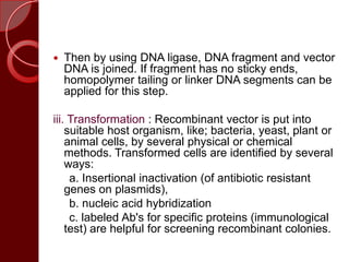  Then by using DNA ligase, DNA fragment and vector
DNA is joined. If fragment has no sticky ends,
homopolymer tailing or linker DNA segments can be
applied for this step.
iii. Transformation : Recombinant vector is put into
suitable host organism, like; bacteria, yeast, plant or
animal cells, by several physical or chemical
methods. Transformed cells are identified by several
ways:
a. Insertional inactivation (of antibiotic resistant
genes on plasmids),
b. nucleic acid hybridization
c. labeled Ab's for specific proteins (immunological
test) are helpful for screening recombinant colonies.
 