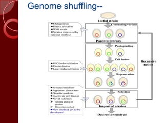 Genome shuffling--
 