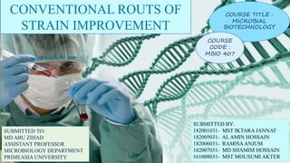 CONVENTIONAL ROUTS OF
STRAIN IMPROVEMENT
COURSE TITLE :
MICROBIAL
BIOTECHNOLOGY
COURSE
CODE :
MBIO 407
SUBMITTED BY:
182001031- MST IKTARA JANNAT
182005031- AL AMIN HOSSAIN
182006031- RAMISAANJUM
182007031- MD SHAMIM HOSSAIN
161008031- MST MOUSUMI AKTER
SUBMITTED TO:
MD ABU ZIHAD
ASSISTANT PROFESSOR
MICROBIOLOGY DEPARTMENT
PRIMEASIA UNIVERSITY
 