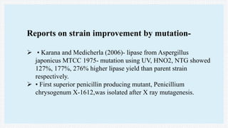 Reports on strain improvement by mutation-
 • Karana and Medicherla (2006)- lipase from Aspergillus
japonicus MTCC 1975- mutation using UV, HNO2, NTG showed
127%, 177%, 276% higher lipase yield than parent strain
respectively.
 • First superior penicillin producing mutant, Penicillium
chrysogenum X-1612,was isolated after X ray mutagenesis.
 