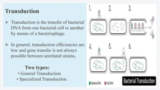 Transduction
 Transduction is the transfer of bacterial
DNA from one bacterial cell to another
by means of a bacteriophage.
 In general, transduction efficiencies are
low and gene transfer is not always
possible between unrelated strains,
Two types:
• General Transduction
• Specialized Transduction.
 