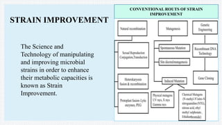 The Science and
Technology of manipulating
and improving microbial
strains in order to enhance
their metabolic capacities is
known as Strain
Improvement.
STRAIN IMPROVEMENT
CONVENTIONAL ROUTS OF STRAIN
IMPROVEMENT
 