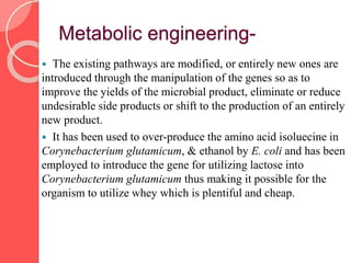 Metabolic engineering-
 The existing pathways are modified, or entirely new ones are
introduced through the manipulation of the genes so as to
improve the yields of the microbial product, eliminate or reduce
undesirable side products or shift to the production of an entirely
new product.
 It has been used to over-produce the amino acid isoluecine in
Corynebacterium glutamicum, & ethanol by E. coli and has been
employed to introduce the gene for utilizing lactose into
Corynebacterium glutamicum thus making it possible for the
organism to utilize whey which is plentiful and cheap.
 