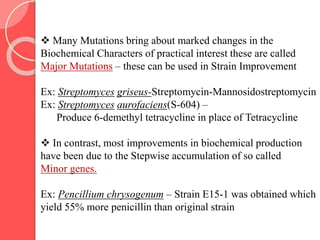  Many Mutations bring about marked changes in the
Biochemical Characters of practical interest these are called
Major Mutations – these can be used in Strain Improvement
Ex: Streptomyces griseus-Streptomycin-Mannosidostreptomycin
Ex: Streptomyces aurofaciens(S-604) –
Produce 6-demethyl tetracycline in place of Tetracycline
 In contrast, most improvements in biochemical production
have been due to the Stepwise accumulation of so called
Minor genes.
Ex: Pencillium chrysogenum – Strain E15-1 was obtained which
yield 55% more penicillin than original strain
 