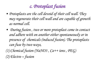 c. Protoplast fusion
• Protoplasts are the cell devoid of their cell wall. They
may regenerate their cell wall and are capable of growth
as normal cell.
• During fusion , two or more protoplast come in contact
and adhere with on another either spontaneously or in
presence of chemicals (induced fusion). The protoplasts
can fuse by two ways,
(1) Chemical fusion (NaNO3 , Ca++ ions , PEG)
(2) Electro – fusion
 