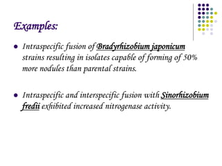 Examples:
 Intraspecific fusion of Bradyrhizobium japonicum
strains resulting in isolates capable of forming of 50%
more nodules than parental strains.
 Intraspecific and interspecific fusion with Sinorhizobium
fredii exhibited increased nitrogenase activity.
 