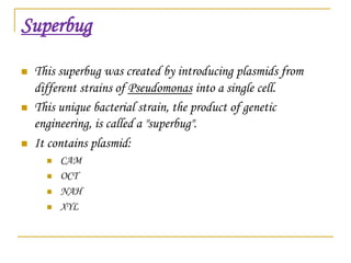 Superbug
 This superbug was created by introducing plasmids from
different strains of Pseudomonas into a single cell.
 This unique bacterial strain, the product of genetic
engineering, is called a "superbug".
 It contains plasmid:
 CAM
 OCT
 NAH
 XYL
 