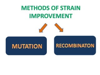Strain Improvement Part I Types Of Control Mechanism In Micro strain-improvement-part-i-types-of-control-mechanism-in-micro