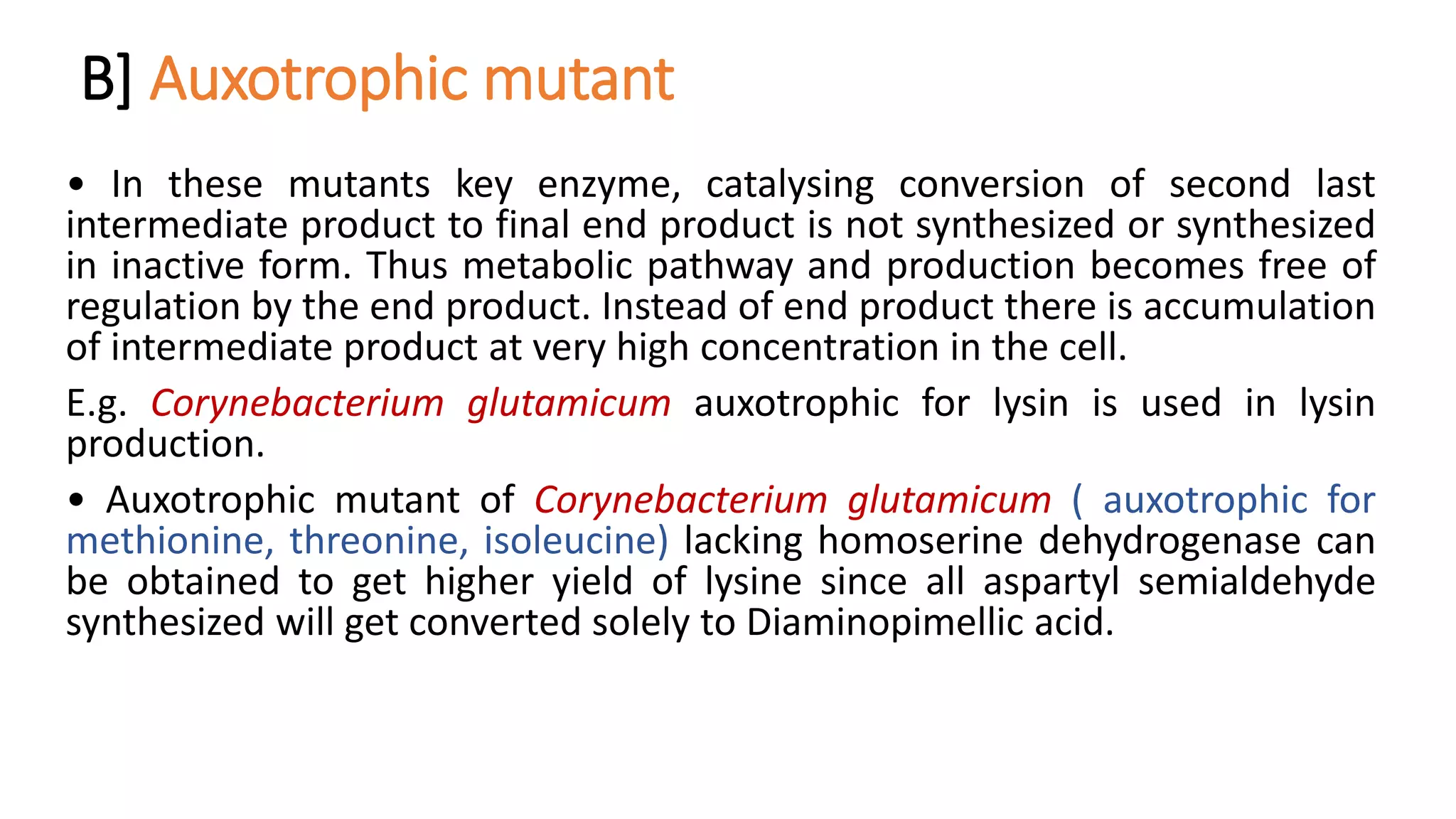 B] Auxotrophic mutant
• In these mutants key enzyme, catalysing conversion of second last
intermediate product to final end product is not synthesized or synthesized
in inactive form. Thus metabolic pathway and production becomes free of
regulation by the end product. Instead of end product there is accumulation
of intermediate product at very high concentration in the cell.
E.g. Corynebacterium glutamicum auxotrophic for lysin is used in lysin
production.
• Auxotrophic mutant of Corynebacterium glutamicum ( auxotrophic for
methionine, threonine, isoleucine) lacking homoserine dehydrogenase can
be obtained to get higher yield of lysine since all aspartyl semialdehyde
synthesized will get converted solely to Diaminopimellic acid.
 