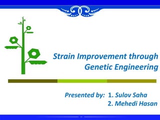 Presented by: 1. Sulov Saha
2. Mehedi Hasan
Strain Improvement through
Genetic Engineering
 