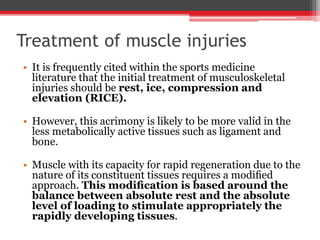 Treatment of muscle injuries
• It is frequently cited within the sports medicine
literature that the initial treatment of musculoskeletal
injuries should be rest, ice, compression and
elevation (RICE).
• However, this acrimony is likely to be more valid in the
less metabolically active tissues such as ligament and
bone.
• Muscle with its capacity for rapid regeneration due to the
nature of its constituent tissues requires a modiﬁed
approach. This modiﬁcation is based around the
balance between absolute rest and the absolute
level of loading to stimulate appropriately the
rapidly developing tissues.
 