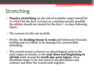 Stretching
• Passive stretching (at the end of available range) should be
avoided for the ﬁrst 72 hours as a minimal period, possibly
the athlete should not stretch for the ﬁrst 7–10 days following
injury.
• The reasons for this are twofold.
• Firstly, the healing tissue is weak and intolerant of tensile
loading and so is likely to be damaged by uncontrolled
stretching.
• The second reason is there is no physiological need in the
early stages to stretch, as the scar does not beginning to
shrink until around the tenth day post injury when
ﬁbroblasts begin to be converted to myoﬁbroblasts and
contract and draw the wound ends together.
 