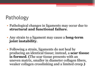 Pathology
• Pathological changes in ligaments may occur due to
structural and functional failure.
• Any strain to a ligament may cause a long-term
joint instability.
• Following a strain, ligaments do not heal by
producing an identical tissue; instead, a scar tissue
is formed. (The scar tissue presents with an
uneven matrix, smaller in diameter collagen ﬁbers,
weaker collagen crosslinking and a limited creep.)
 
